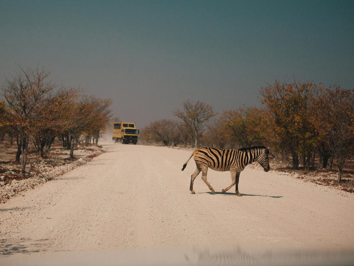 Mastering the Harsh Light of Day with an ND1000 Filter