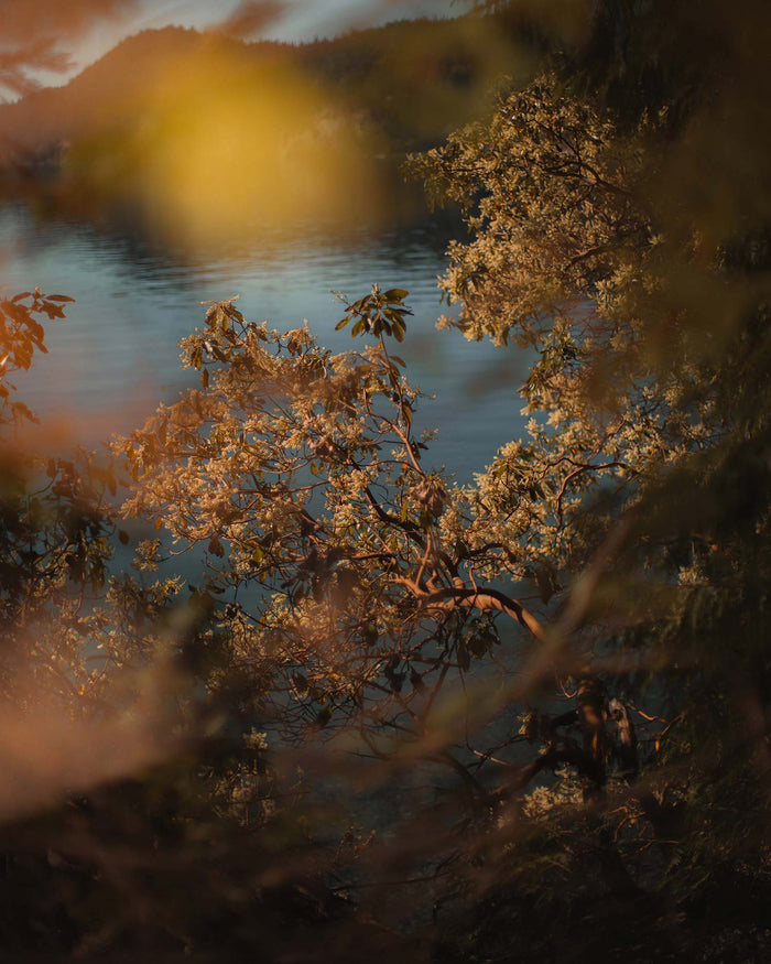 “The results were incredible”: Chiara Zonca Finds Inspiration with a Filter Kit