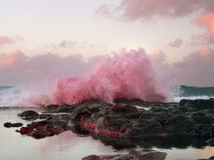 Inka & Niclas Lindergård Take Dazzling Photos of Nature to Challenge Our Expectations Of It