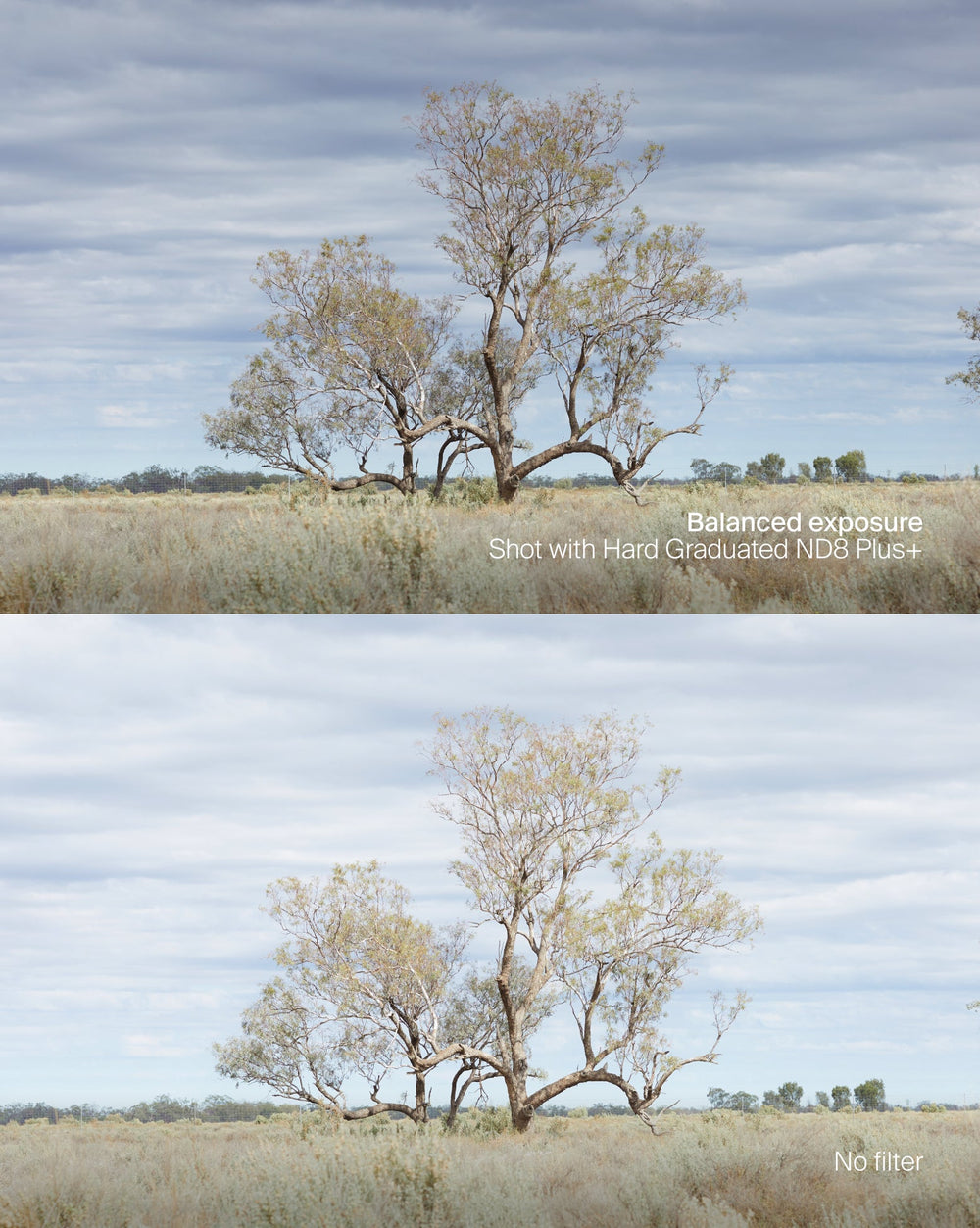 Hard Graduated ND8 Filter Plus