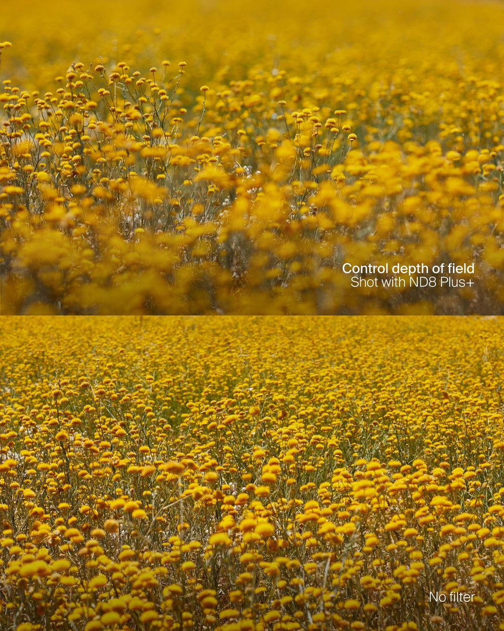 Essentials Filter Kit Plus